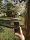 A woman stands in a garden and talks on the phone to a woman standing further back in the garden.