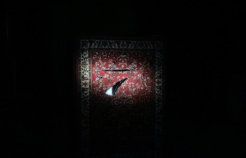 A patterned carpet