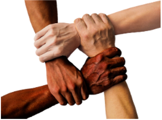 4 hands grasp each other's wrists to form a square